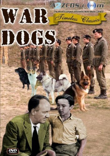 Постер War Dogs