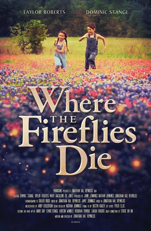 Постер Where the Fireflies Die