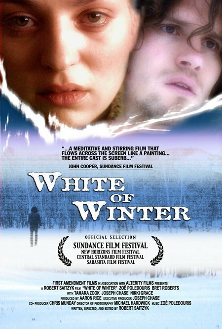 Постер White of Winter