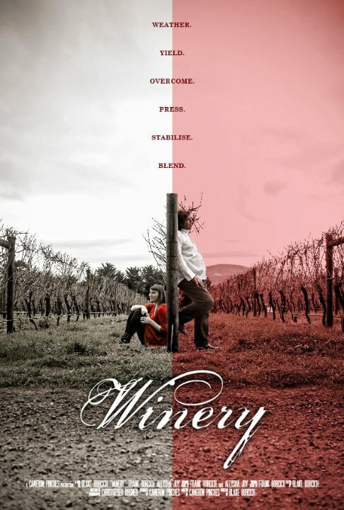Постер Winery