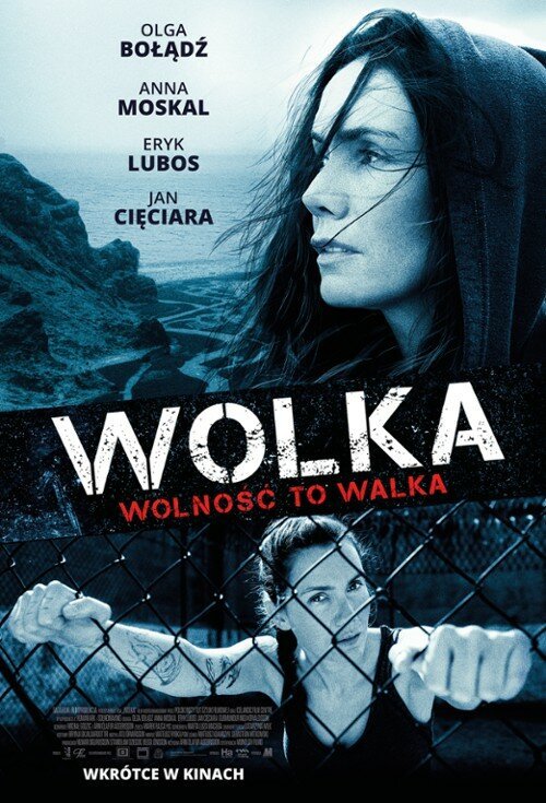 Постер Wolka