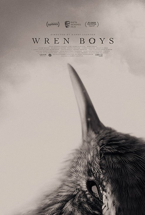 Постер Wren Boys