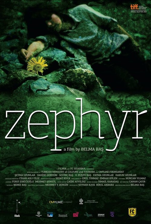 Постер Зефир