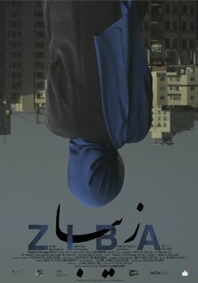 Постер Ziba