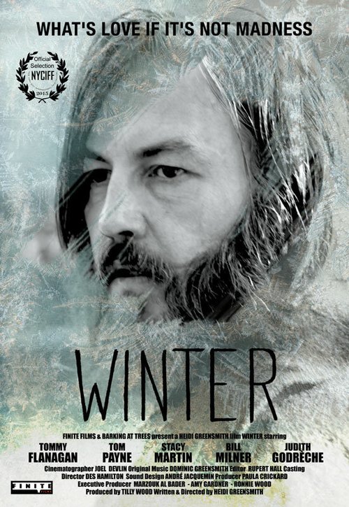 Постер Зима