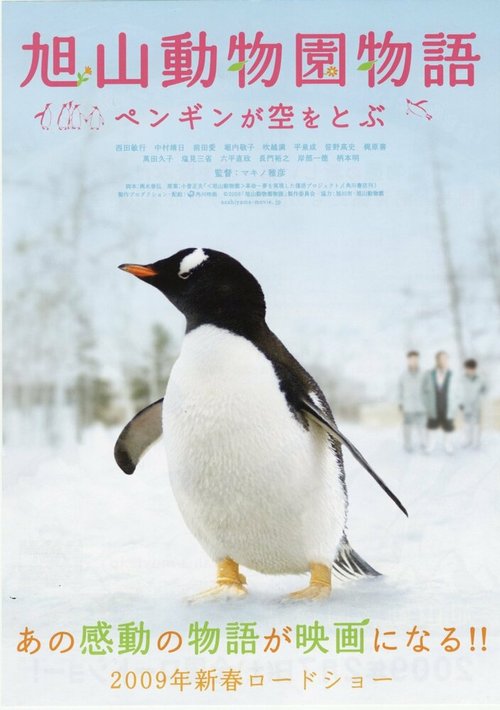 Постер Зooпapк Acaхиямa: Пингвины в нeбe