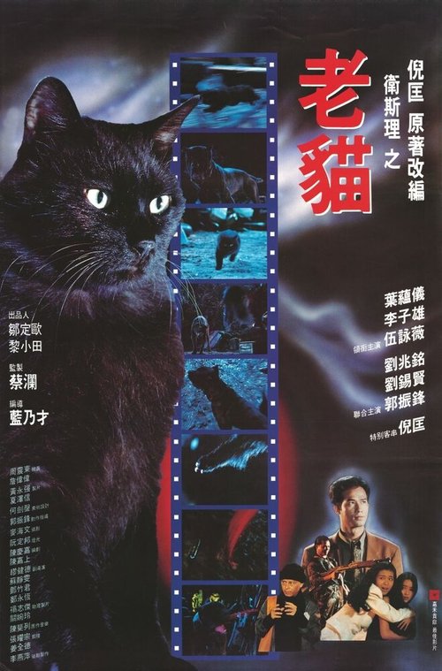 Постер Кошка