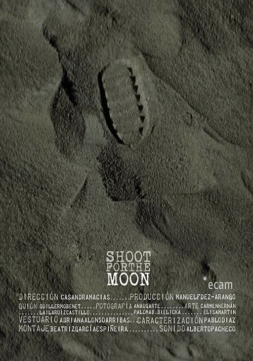 Постер Лунная миссия