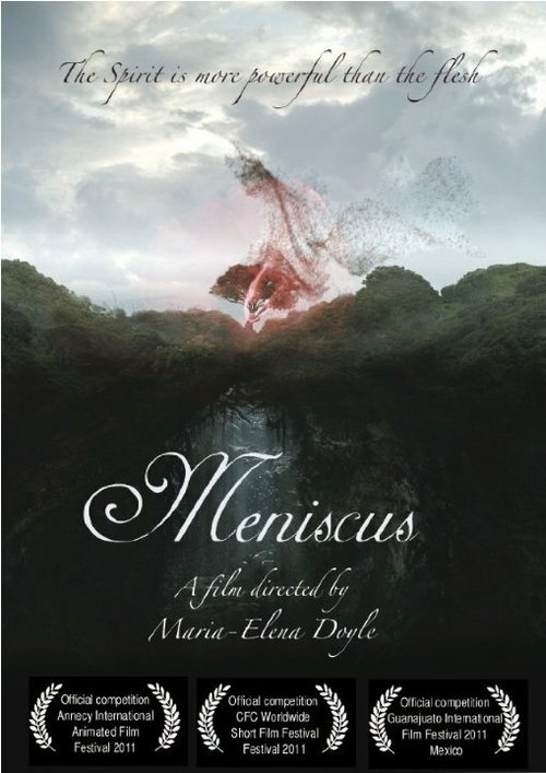 Постер Meniscus