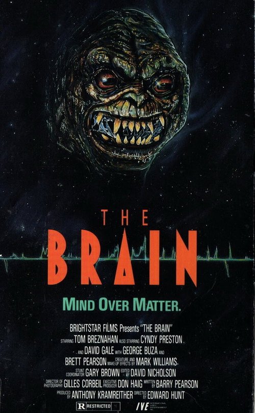 Постер Мозг