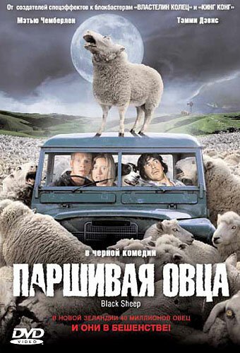 Паршивая овца скачать фильм торрент