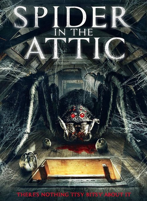 Постер Spider from the Attic