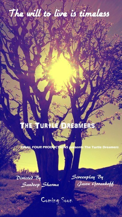 Постер The Turtle Dreamers