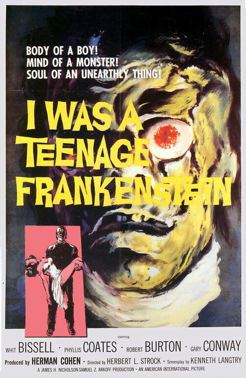 Постер Я был молодым Франкенштейном