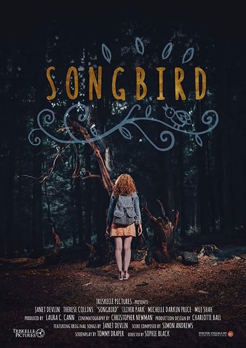 Постер Songbird