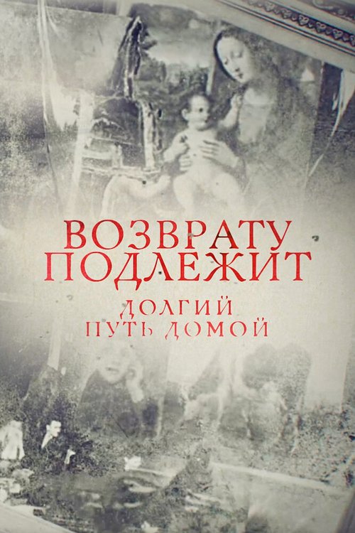 Постер Возврату подлежит. Долгий путь домой