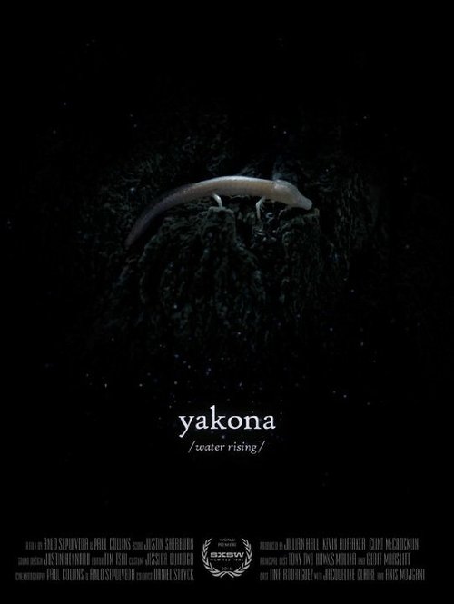 Постер Yakona