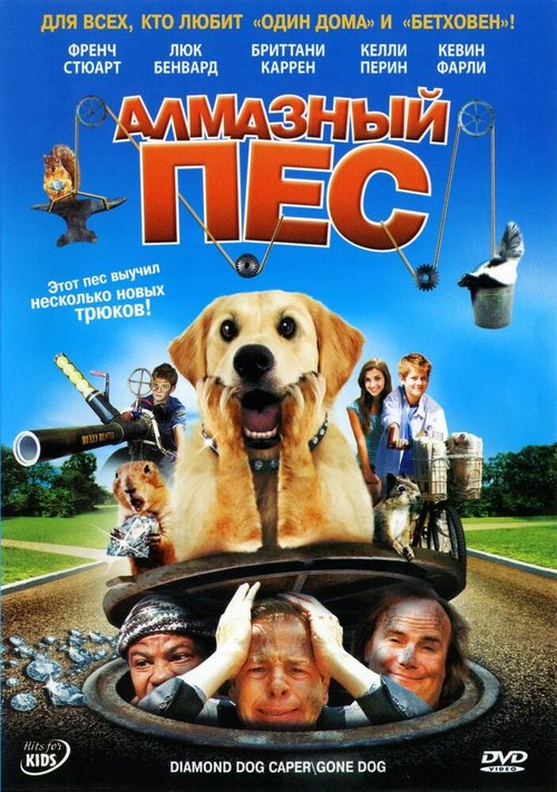 Постер Алмазный пес