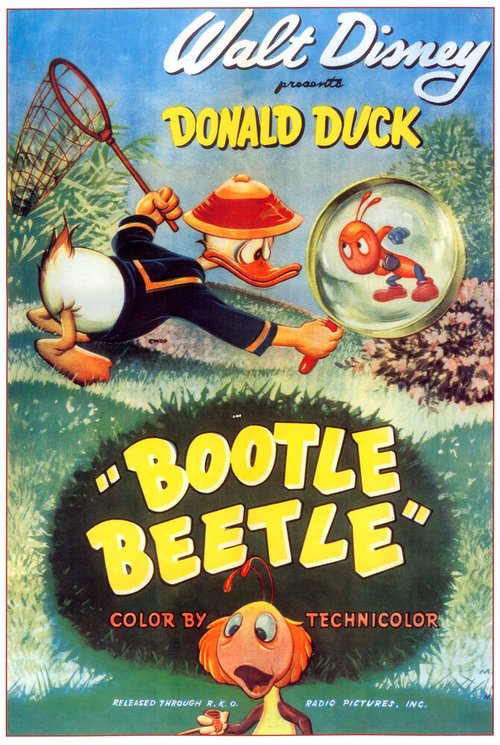 Постер Bootle Beetle