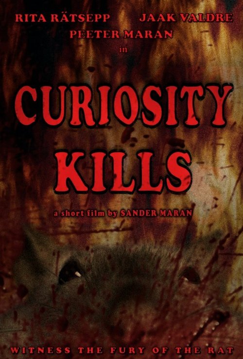 Curiosity Kills скачать фильм торрент