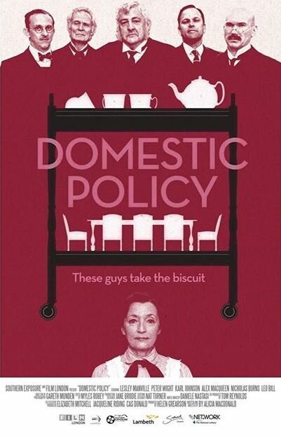 Domestic Policy скачать фильм торрент