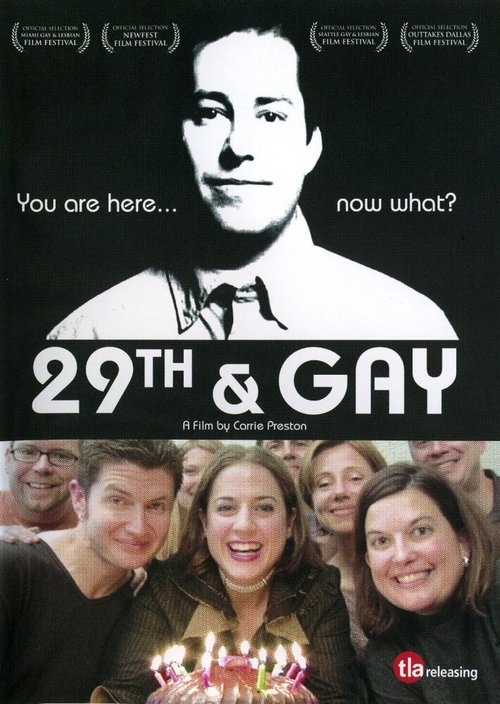 Постер Двадцатидевятилетие гея