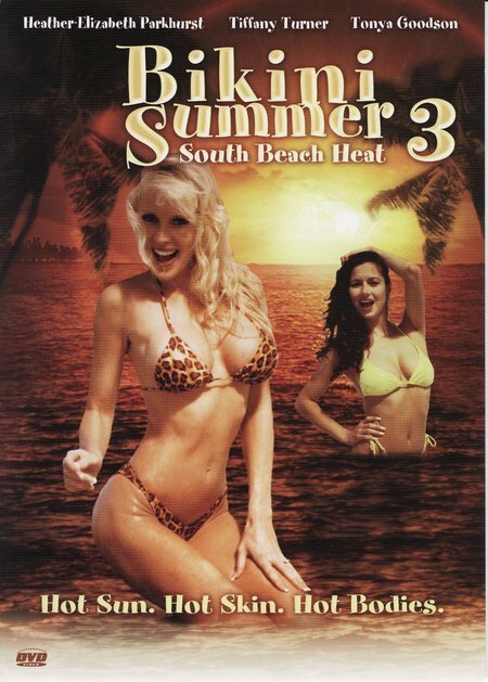 Постер Лето бикини 3: Жара на южном пляже