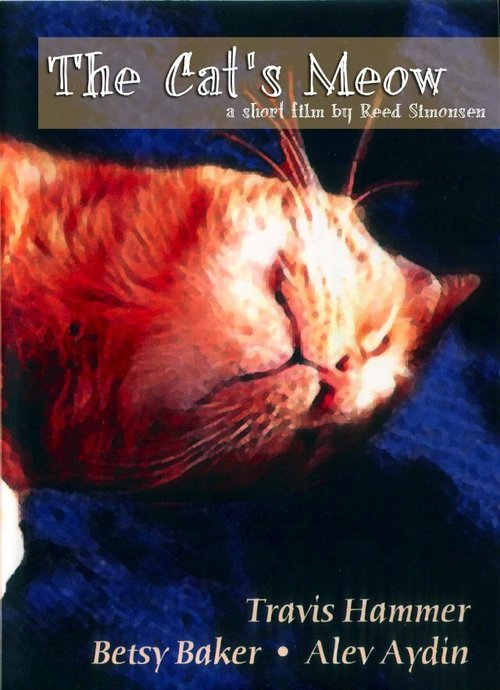 Постер Мяуканье кошки