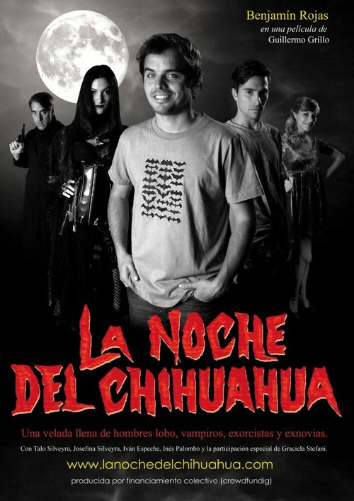 Постер Ночь чихуахуа