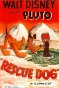 Постер Rescue Dog
