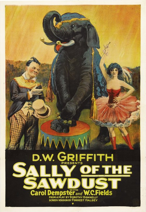 Постер Салли из опилок