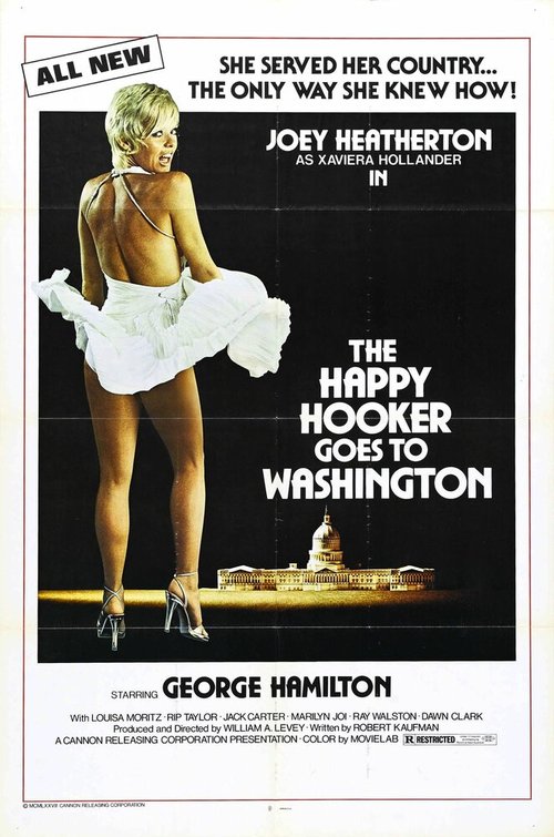 Постер Счастливая проститутка едет в Вашингтон