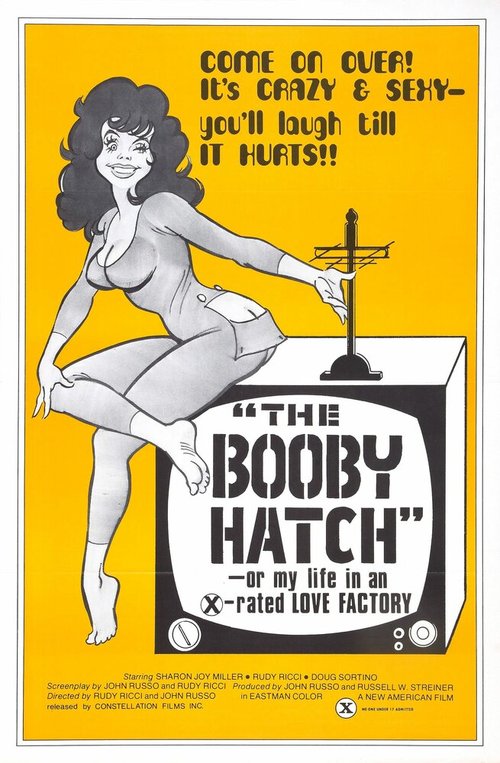 Постер The Booby Hatch