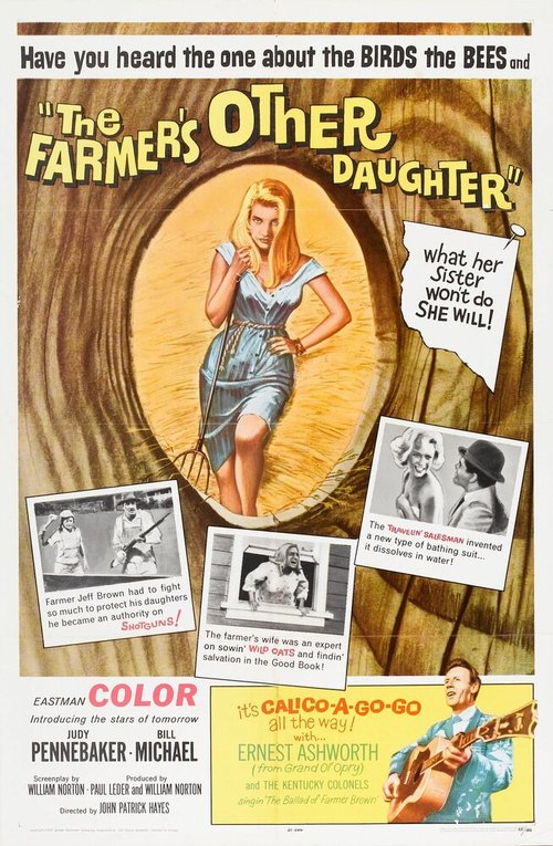 Постер The Farmer's Other Daughter