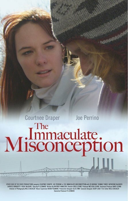 Постер The Immaculate Misconception