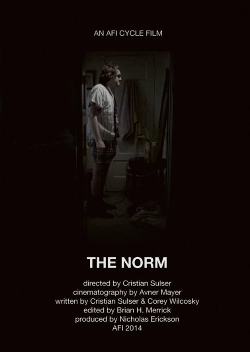 Постер The Norm