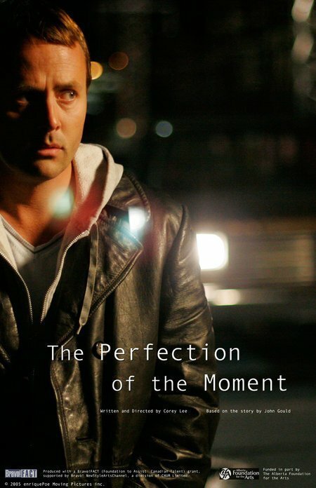 Постер The Perfection of the Moment