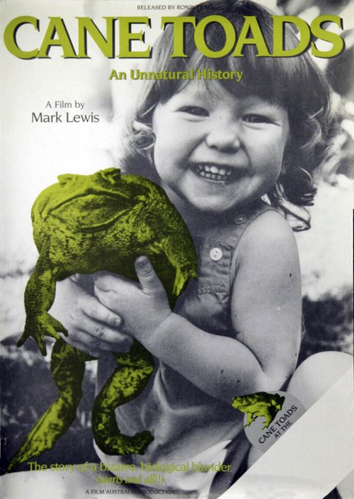 Постер Тростниковые жабы