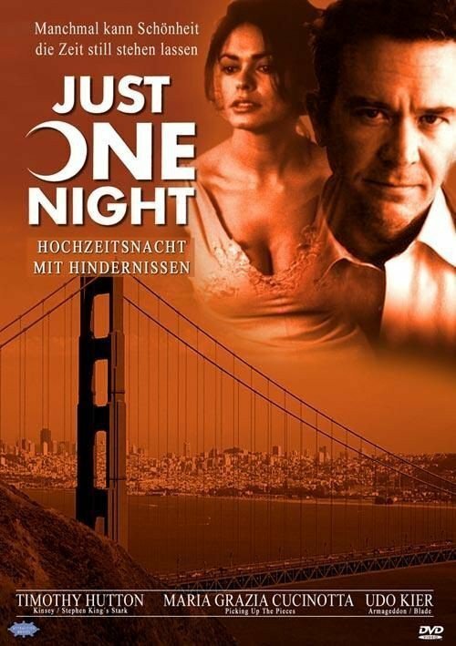 Постер Всего одна ночь