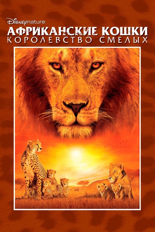 Постер Африканские кошки: Королевство смелых