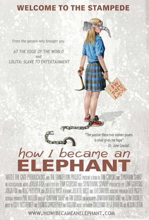 Постер Как я стала слоном