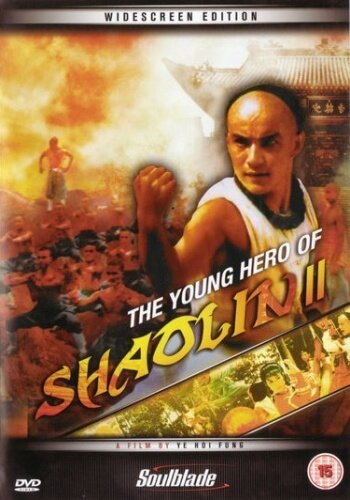 Постер Молодой герой из Шаолиня