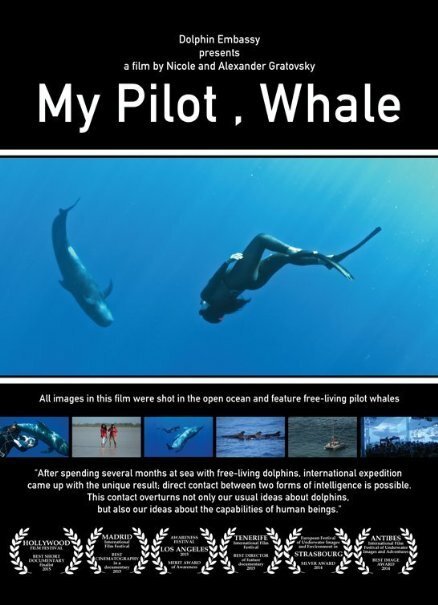 Постер Мой пилот, кит