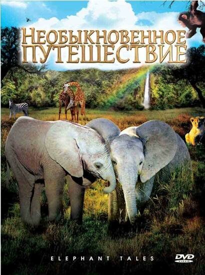 Постер Необыкновенное путешествие: История про двух слонят
