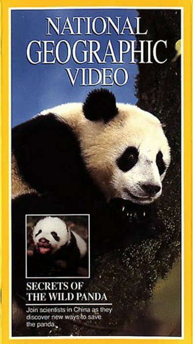 Постер Secrets of the Wild Panda