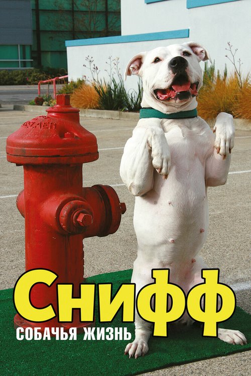 Постер Снифф: Собачья жизнь