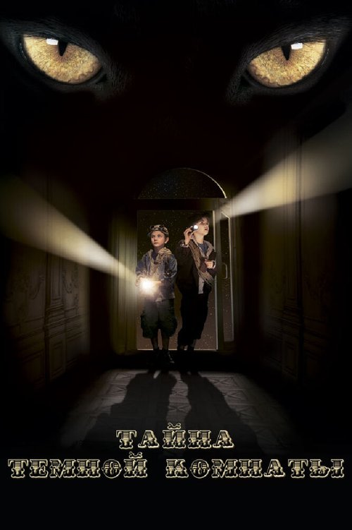 Постер Тайна темной комнаты