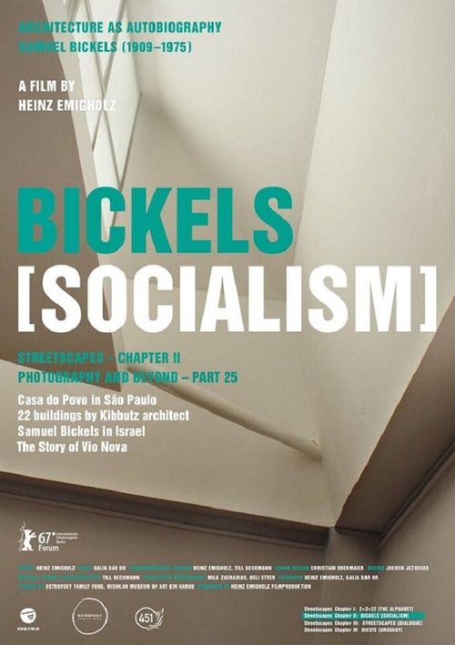 Постер Bickels: Socialism
