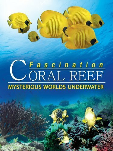 Коралловый риф: Удивительные подводные миры скачать фильм торрент