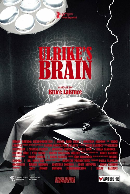 Постер Мозг Ульрики